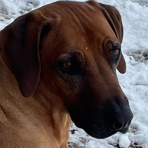 Meet your Posher, Scott